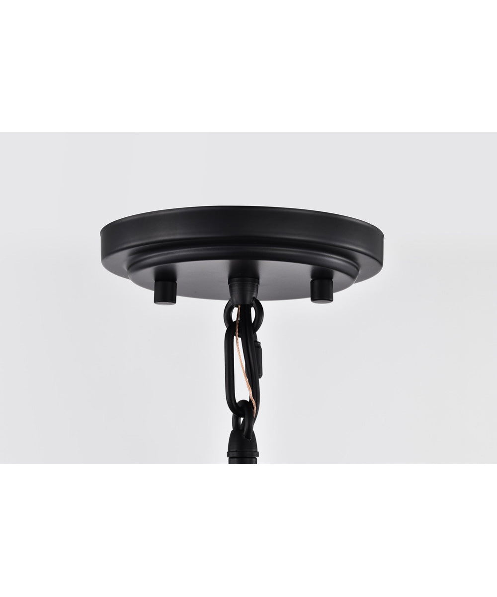 Lakeshore 1-Light Pendant Matte Black