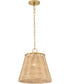 Brynn 1-Light Medium Pendant in Lacquered Brass