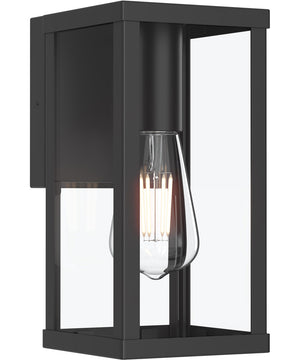 Ryle 1-Light Small Wall Lantern with Clear Glass Panels Matte Black