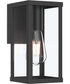 Ryle 1-Light Small Wall Lantern with Clear Glass Panels Matte Black