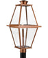 Bradshaw 1-Light Clear Glass Transitional Outdoor Post Lantern Antique Copper