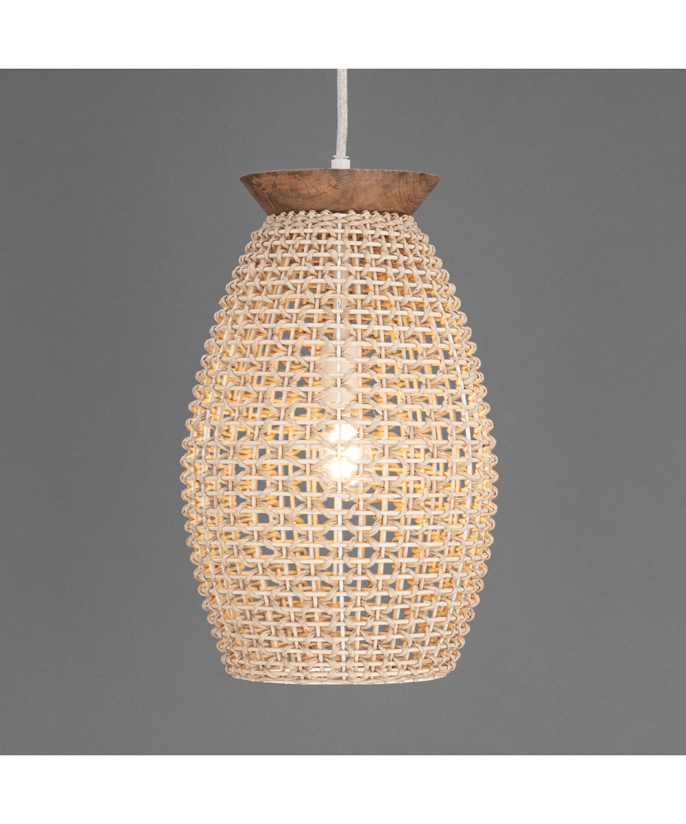 Cotswold 1-Light Pendant
