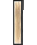 wall sconce