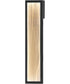 Celeste 24 inch LED Outdoor Wall Sconce - 5CCT Black