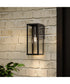 Ryle 1-Light Medium Wall Lantern with Clear Glass Panels Matte Black