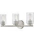 Leta 3-Light Medium Three Light Vanity in Brushed Nickel