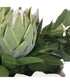 Protea Blooms White Bowl Centerpiece