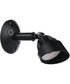 LED Flood Outdoor Lighting Midnight