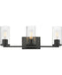 Livingston 3-Light Bath Vanity Black
