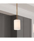 Liam 1-Light Pendant Burnished Brass