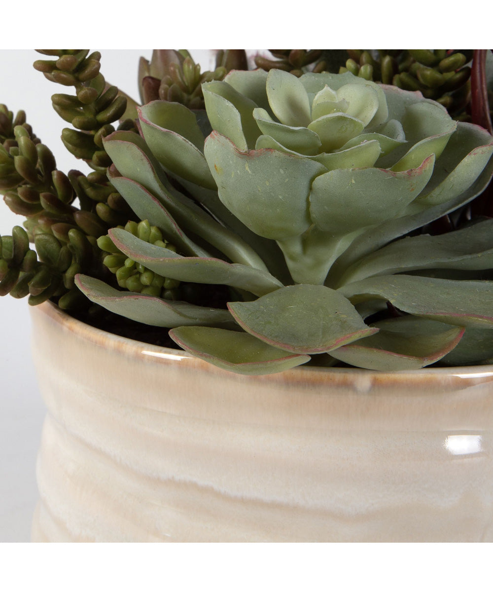 Mesa Succulent Accent