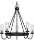 Swansea 4-Light 24" Transitional Round Outdoor Chandelier with Clear Glass Shades Matte Black
