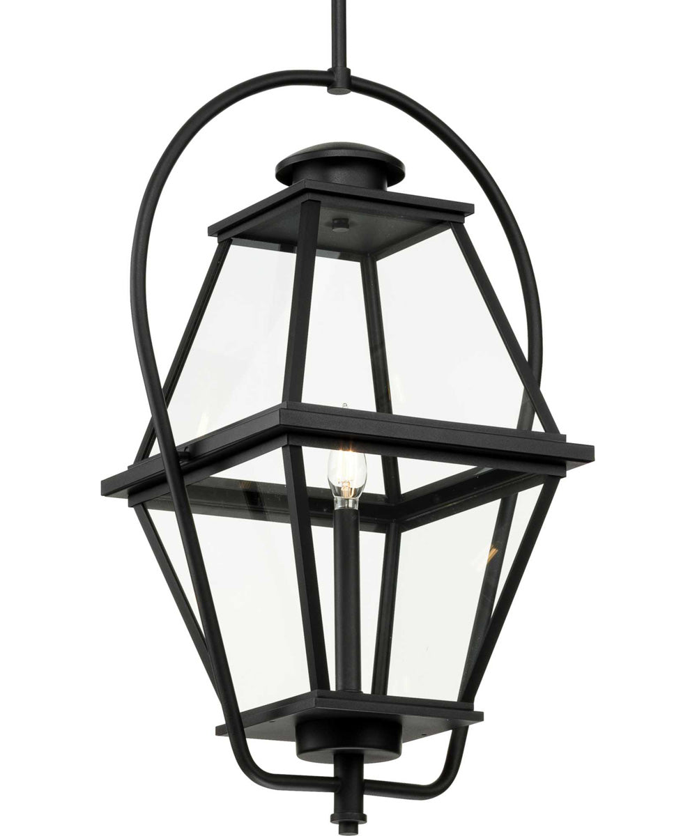 Bradshaw 1-Light Clear Glass Transitional Outdoor Hanging Lantern Textured Black