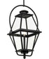 Bradshaw 1-Light Clear Glass Transitional Outdoor Hanging Lantern Textured Black