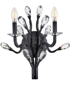 Eve 2-Light Medium Two Light Sconce in Brushed Graphite