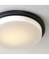 Dominic 1-Light Flush Matte Black