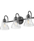 Vera 3-Light Medium Three Light Vanity in Black