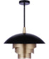 Sculptural Statement Pendants 1-Light Lighting Flat Black/Matte Gold