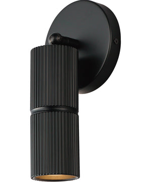 Reeds LED Spot Light Black