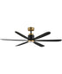 Petals 60 inch 6-Blade Fan w LED Black / Gold