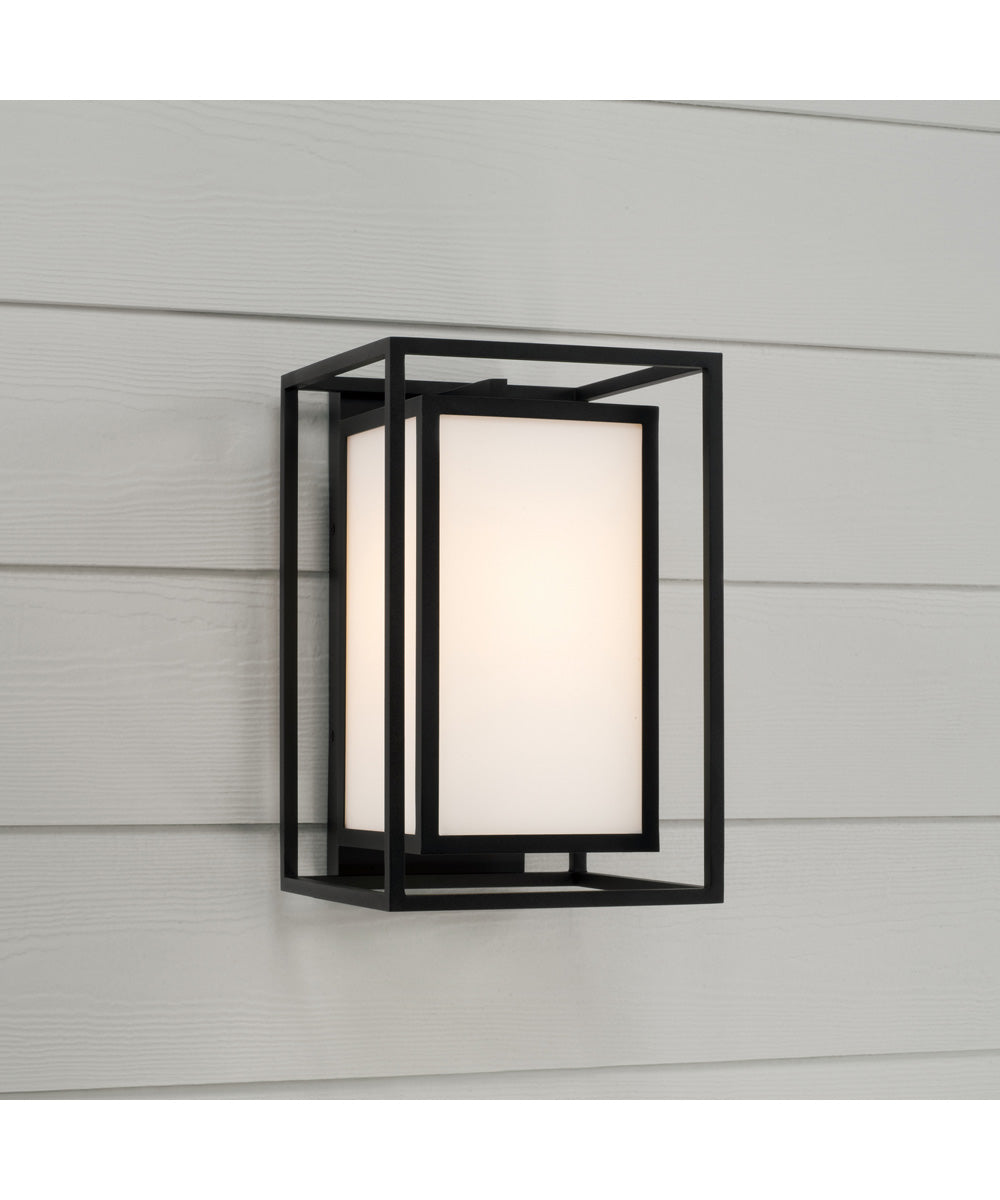 Aiden 1-Light Outdoor Wall-Lantern Black