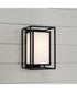 Aiden 1-Light Outdoor Wall-Lantern Black