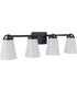 Zane 4-Light Lighting Flat Black