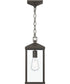 Cantley Outdoor Pendant with Clear Glass Panels Antique Bronze