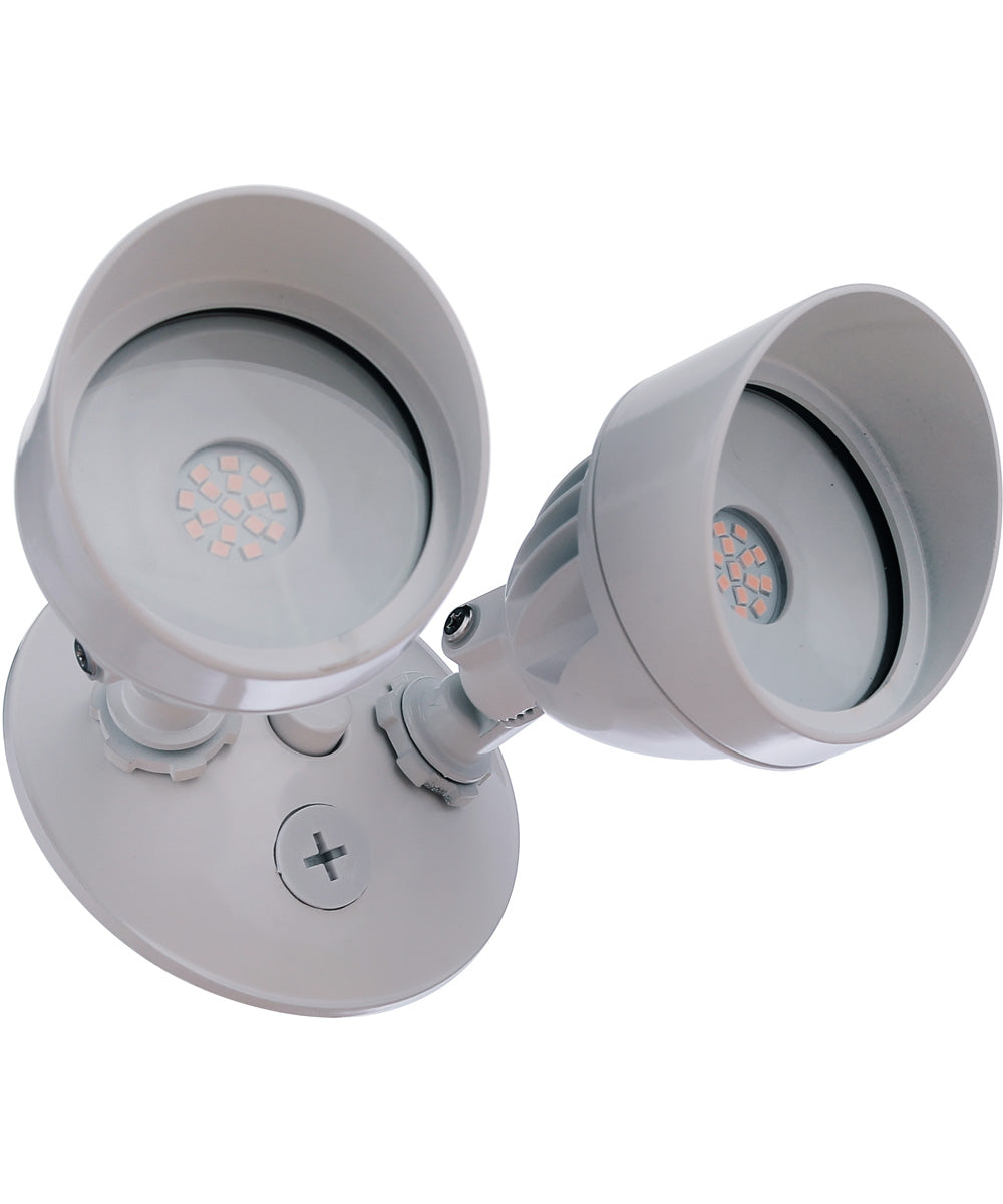 LED Flood 2-Light Outdoor Lighting White