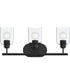 Reines 3-Light Bath Vanity with Clear Glass Shades Matte Black