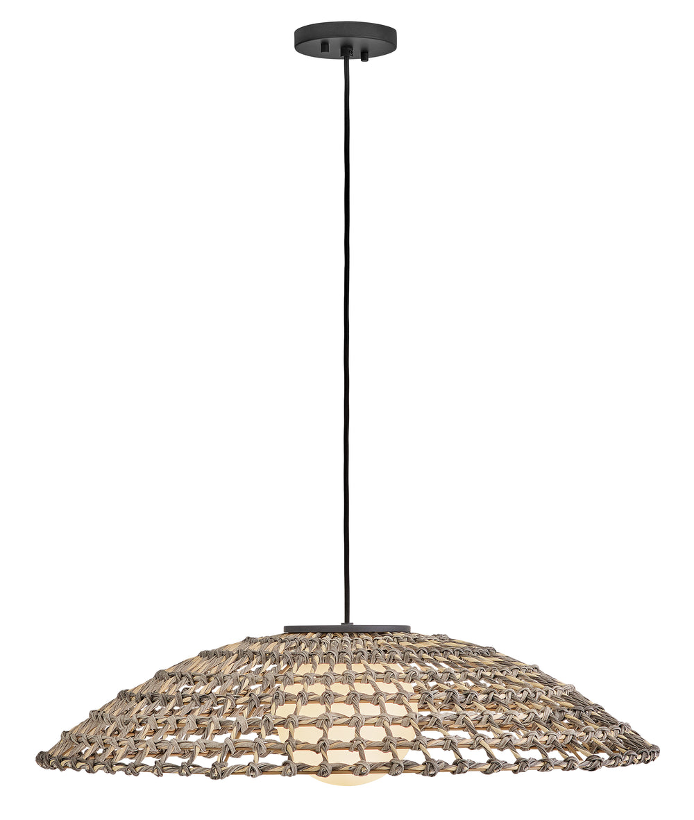 Arlen 1-Light Large Hanging Pendant in Black