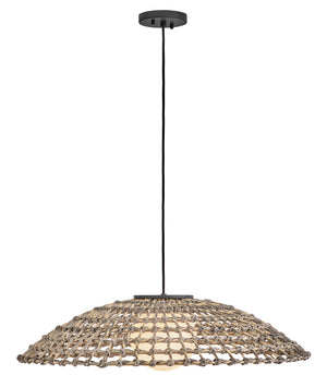 Arlen 1-Light Large Hanging Pendant in Black