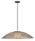 Arlen 1-Light Large Hanging Pendant in Black
