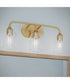 Ilia 3-Light Bath Vanity with Clear Glass Shade Brushed Gold
