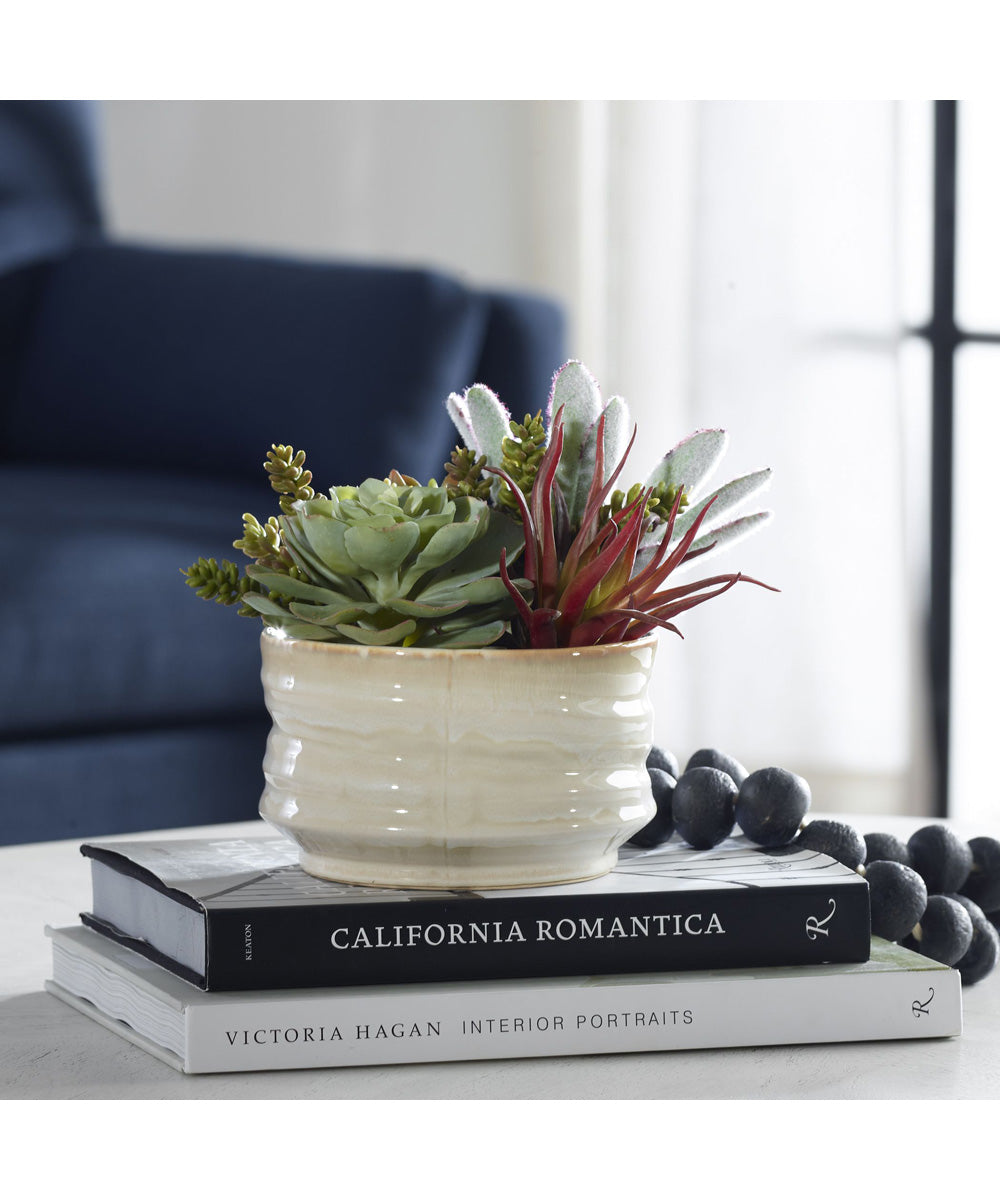 Mesa Succulent Accent