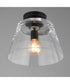 Hudson 1-Light Semi-Flush Mount/Pendant Black