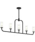 Mack 5-Light Linear Chandelier with Layered Glass Shades Matte Black