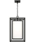 Aiden 1-Light Outdoor Hanging-Lantern Black