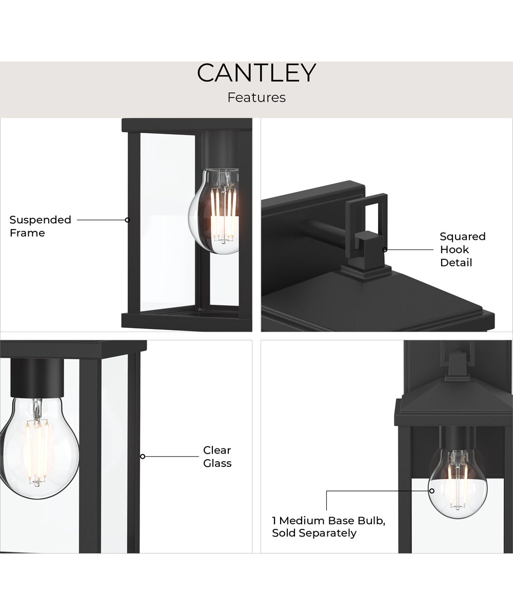Cantley Small Outdoor Wall Lantern with Clear Glass Panels Matte Black