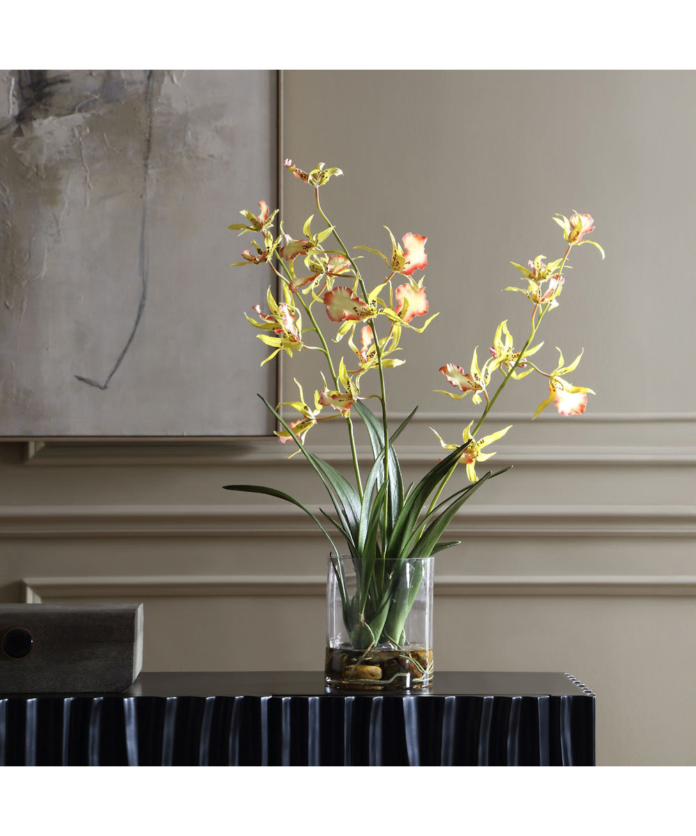 Spider Orchid In Glass Vase