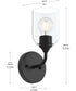 Ilia 1-Light Wall Sconce with Clear Glass Shade Matte Black