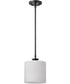 Warren 1-Light Pendant Gun Metal