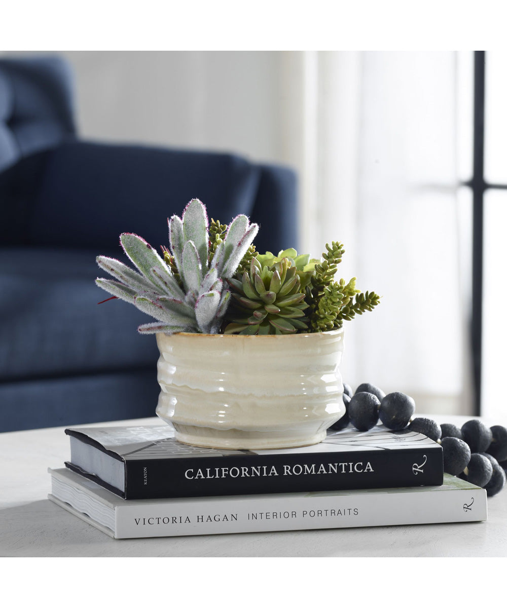 Mesa Succulent Accent