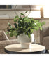 Essence Eucalyptus Accent & Vase