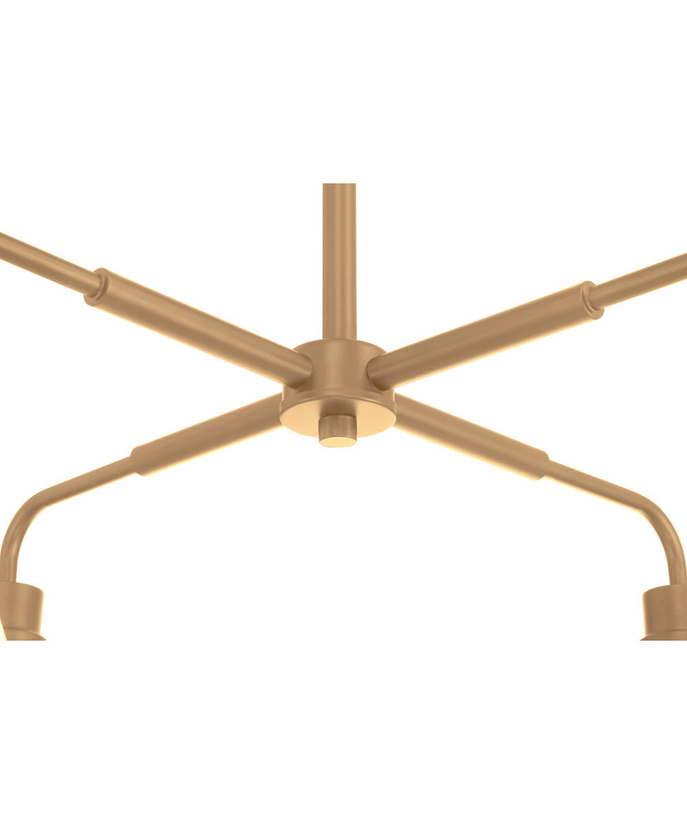 Pleated 4-Light Lighting Premium Bronze
