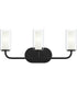 Mack 3-Light Vanity Light with Layered Glass Shades Matte Black