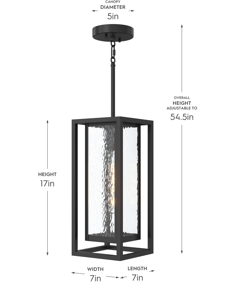 Shaw 17 Inch 1 Light Outdoor Pendant with Clear Glass Textured Black