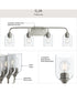 Ilia 4-Light Bath Vanity with Clear Glass Shade Brushed Nickel
