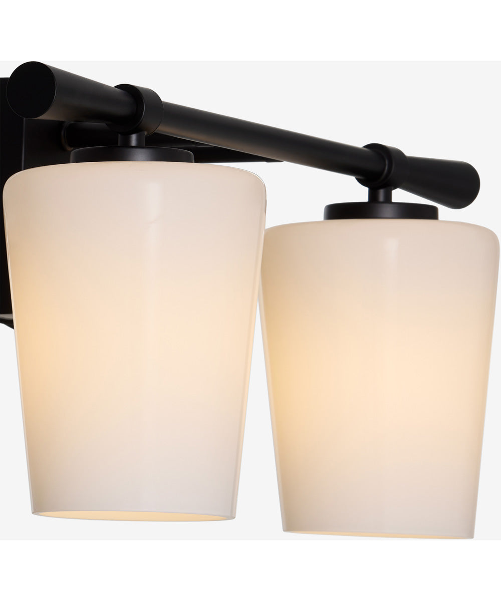 Goodwin Bath Vanity Light Matte Black