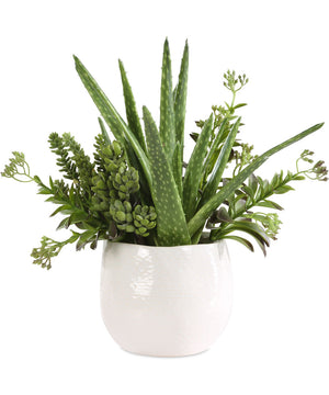 Sundown Succulent Accent Planter